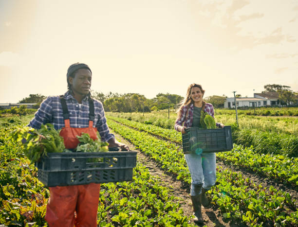 istock Reaping the richest rewards from nature 1129849167