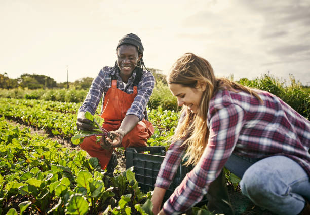 Have you joined the organic agriculture movement?
