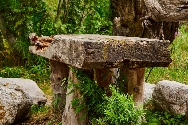 istock wooden wood table in the sun 1129854802