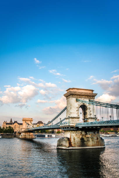 вид сбоку на цепной мост в будапеште, венгрия - chain bridge budapest bridge lion стоковые фото и изображения