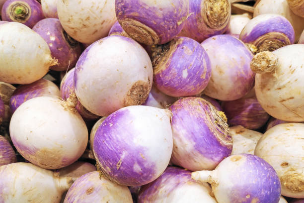 Stack of turnips Close-up on a stack of turnips on a market stall. brassica rapa stock pictures, royalty-free photos & images