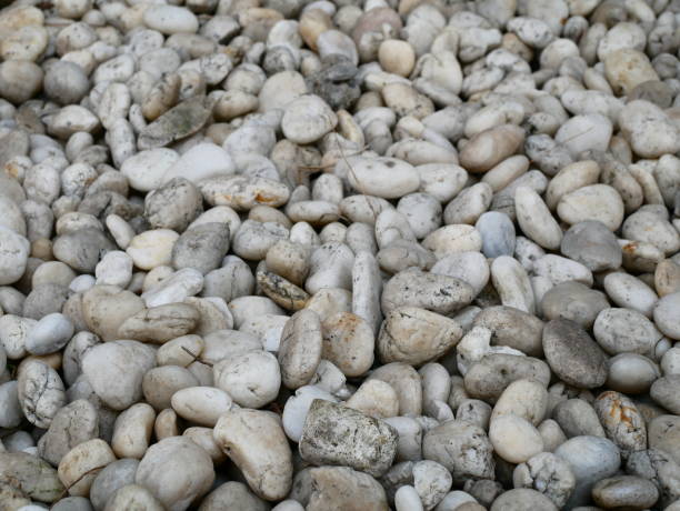 kamienne tło bielonych bruków - stone rock river pebble zdjęcia i obrazy z banku zdjęć