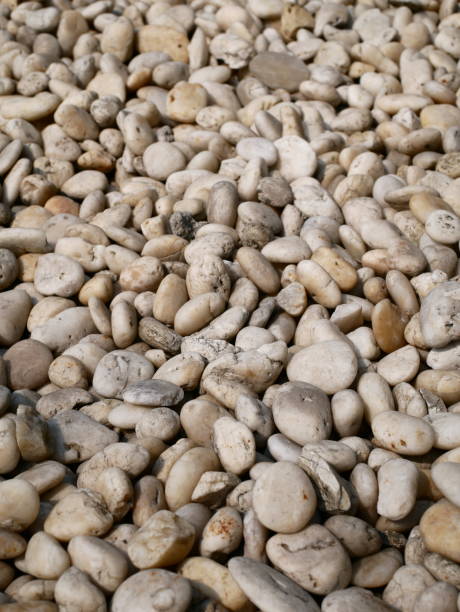 istock Abstract background with dry round pebble stones macro 1129863409
