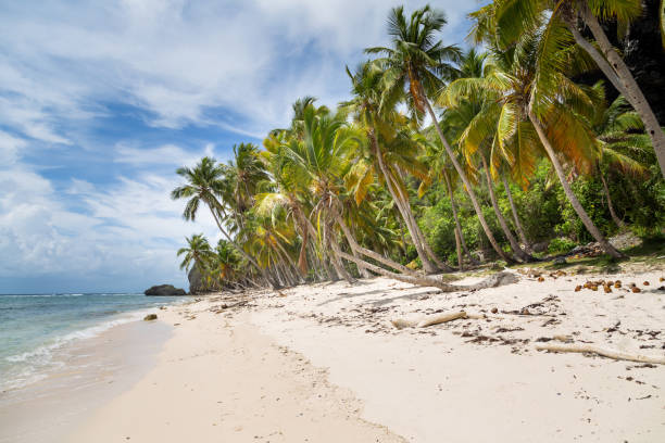 istock Tropical beach between the rocks. Paradise secluded island. High cliffs on the Atlantic coast 1129864635