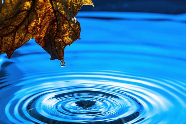 istock Amazing beautiful blue background. Drops making circles on water surface. 1129864943
