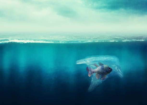 istock Plastic bag with a fish in the ocean 1129865253