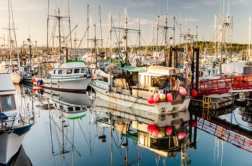 Fishing Boats and Trawlers Moored in a Harbour at Sunset and Reflection in Water. Campbell River, BC, Canada.