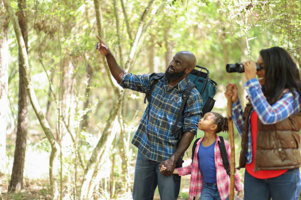 istock Family on summer or autumn vacation camping in forest. 1129868207