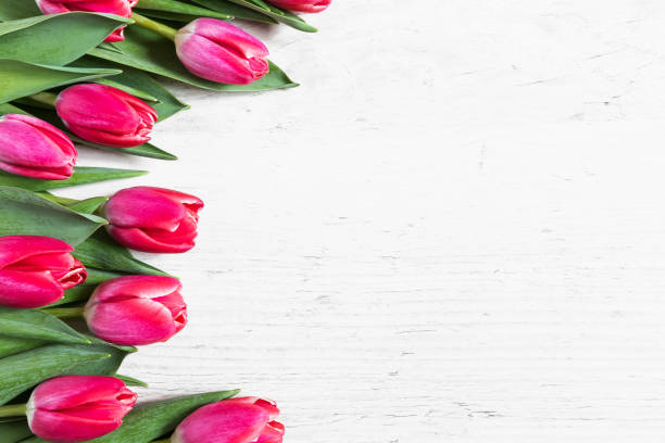 istock Beautiful pink tulips on wooden background 1129869402