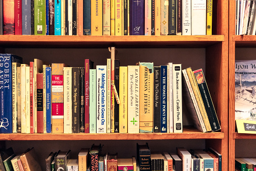 A selection of book titles of all ages on the shelves of a second hand bookstore.