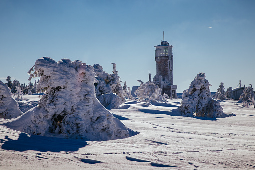 Snow-covered landscape, tower on the Hornisgrinde