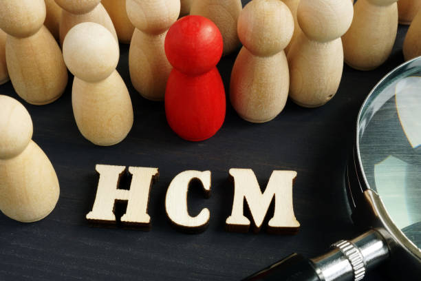 Human capital management HCM concept. Figurines and magnifying glass.