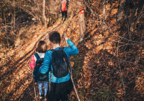 istock Brother and sister hiking 1129879814