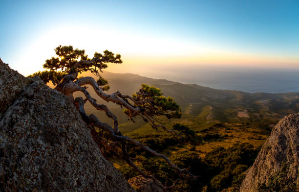 istock Beauty nature landscape Crimea 1129879992