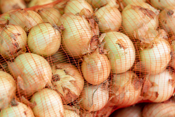 onions inside net bags on a sunny day ready to be consumed - onion bag netting vegetable imagens e fotografias de stock