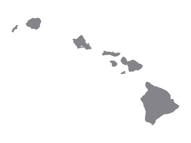 미국 하와이주의 실버 지도 - 하와이 제도 stock illustrations