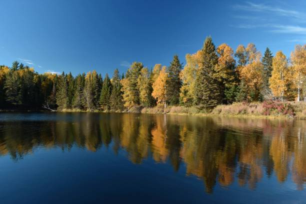 istock Lake in the Indian summer 1129895374
