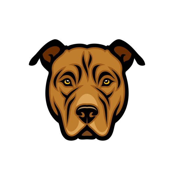 American Staffordshire Terrier dog - isolated vector illustration American Staffordshire Terrier dog pit bull power stock illustrations