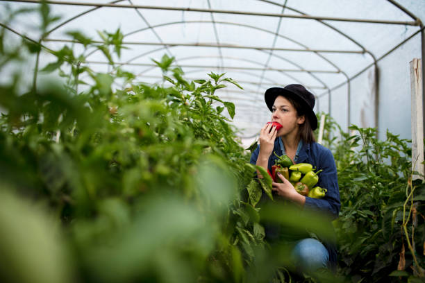 istock Women in Agriculture 1129895908
