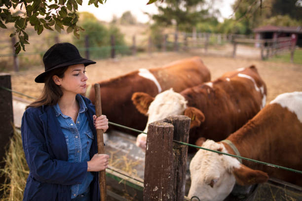 istock Daily job at ranch 1129897207