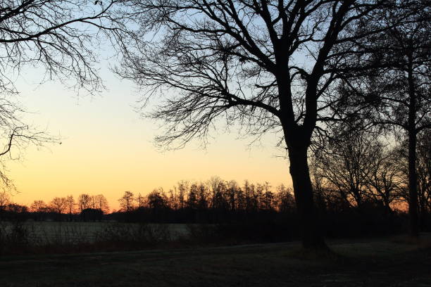 istock The warmth comes in the morning 1129897348