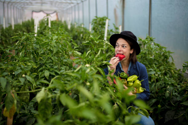 istock Women in Agriculture 1129897605