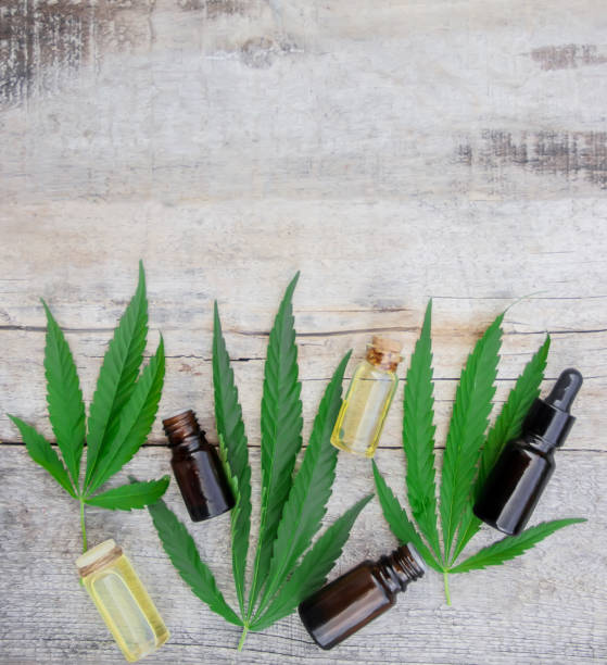 istock Cannabis herb and leave extract, oil. Selective focus. nature 1129898702