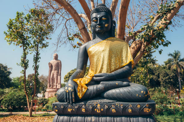 Two statues of Buddha, Sarnath. Sitting and standing Buddha. One of the four famous places of buddhist pilgrimage. Buddha under the sacred tree. Two statues of Buddha, Sarnath sarnath stock pictures, royalty-free photos & images