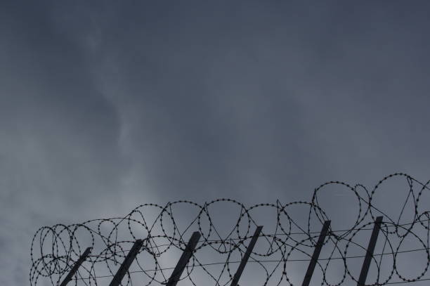 istock Silhouette of the barbed wire 1129901669