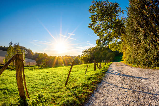 Autumn landscape at sunset with a path beside a meadow