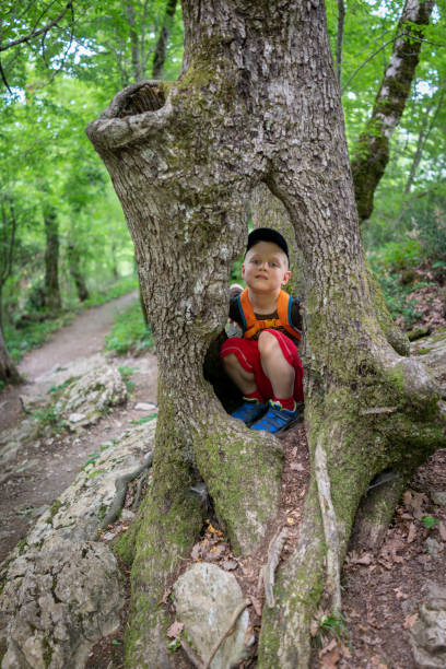 A boy 7 years old with backpack sits in the hollow of a large old tree