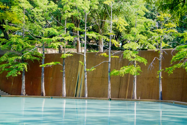A Pool of Water at The Water Gardens in Fort Worth, Texas