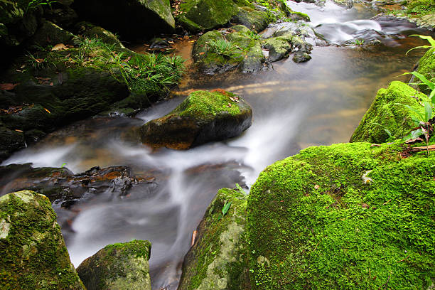 małych strumieni - stone rock river pebble zdjęcia i obrazy z banku zdjęć