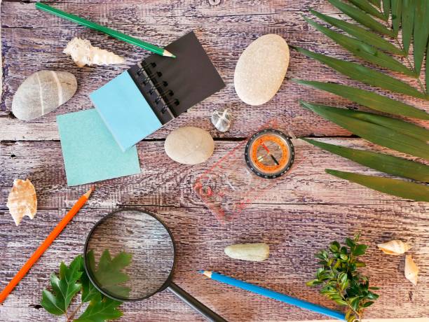istock Compass, magnifier, notepad, pencil, sea stones, palm leaf on a textural wooden table 1129909636
