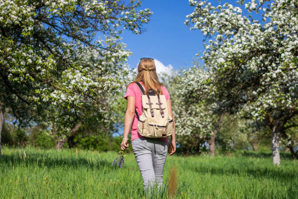 istock Woman tourist with backpack enjoying time in blooming orchard at springtime. 1129909863