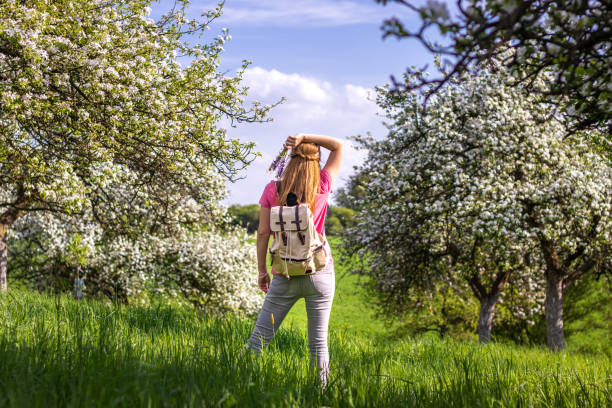 istock Woman tourist with backpack enjoying time in blooming orchard at spring. 1129910991