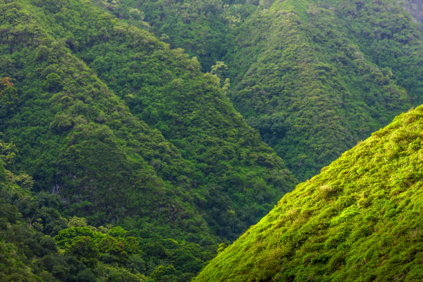 istock Island of Maui in Hawaii 1129912164