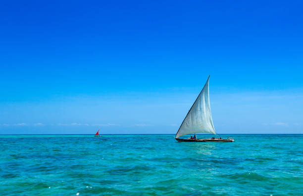 istock sea in Zanzibar beach 1129919823