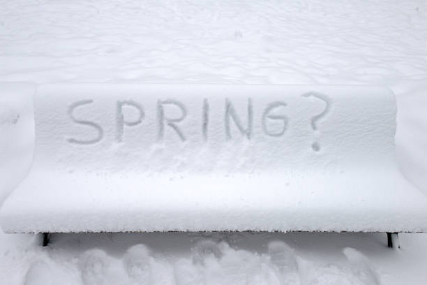 istock Park bench covered with snow and written Spring in English 1129920081
