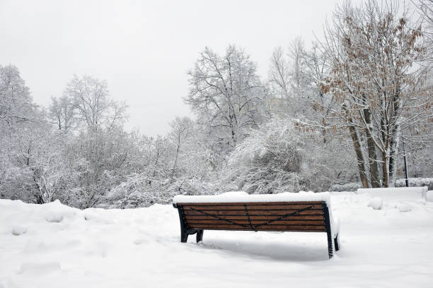 istock Footpath snow-covered bench and trees in winter park 1129920574