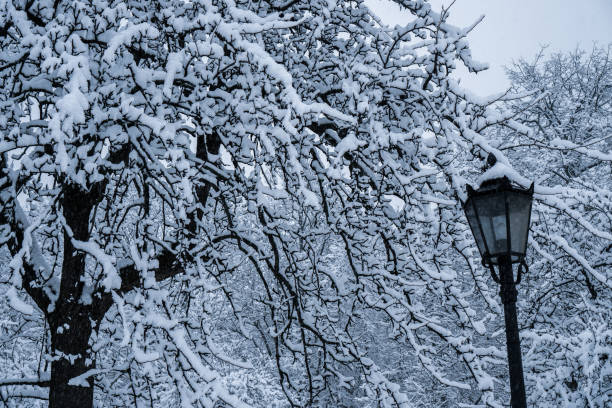 istock Trees and lantern in the Park after the snow is completely covered with snow. 1129925336
