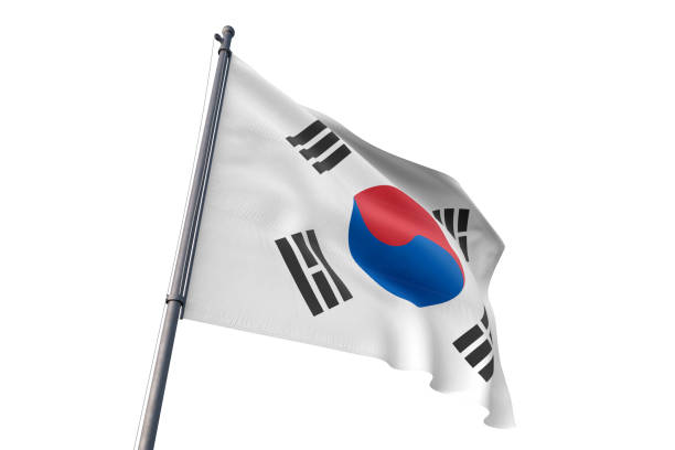 한국 깃발 흔들며 고립 된 흰색 배경 - 태극기 뉴스 사진 이미지