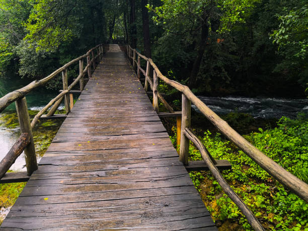 istock An old bridge over the river with a view of the forest 1129928796