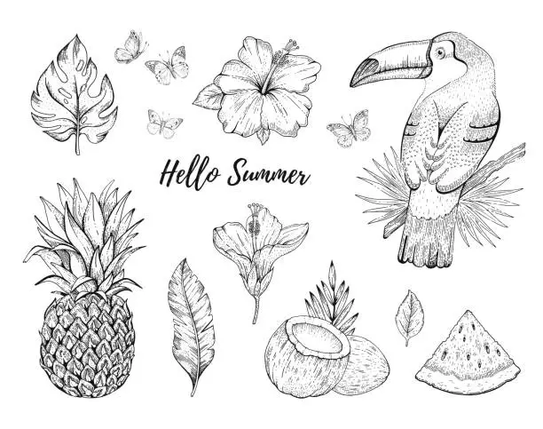Vector illustration of Hello Summer tropic set. fruit, flower, food, animal, leaf stickers. Coco, watermelon, toucan bird, ananas, hibiscus. Hand drawn vintage art. Cool doodle vector illustration, icon on white background