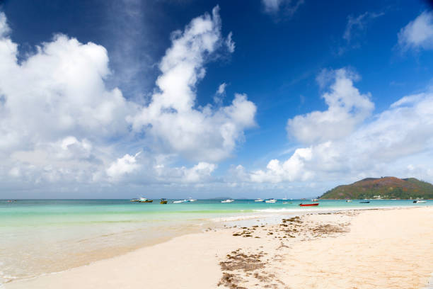 istock Tropical landscape at Praslin island at Seychelles 1129930453