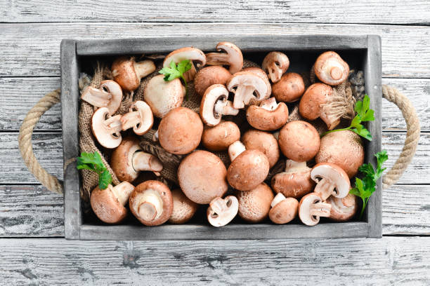 istock Mushrooms in a wooden box on the old table. Champignons Top view. Free copy space. 1129931403