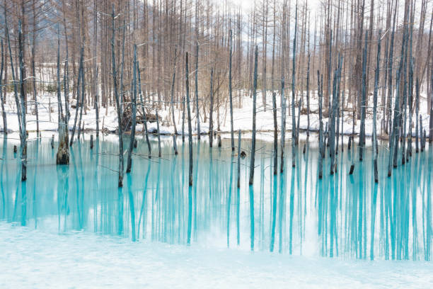 Snow melting lake in Biei Blue Pond in Biei-cho shirogane blue pond stock pictures, royalty-free photos & images