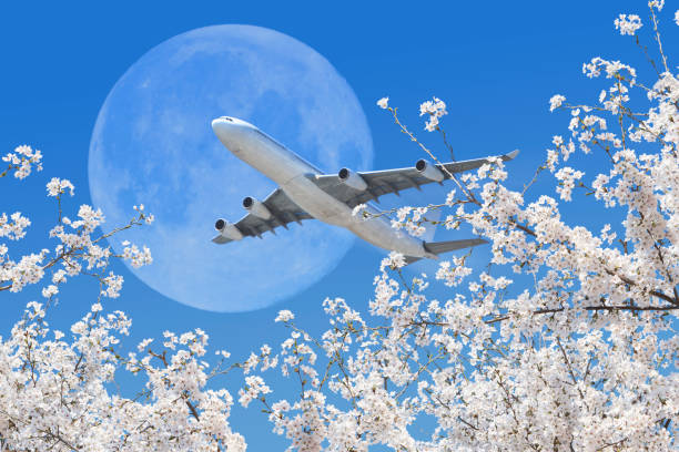 kwiat wiśni i samolot i księżyc - spring leaf wind sunlight zdjęcia i obrazy z banku zdjęć