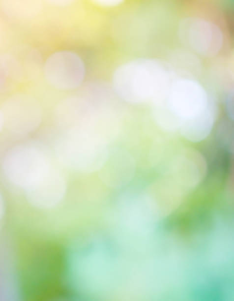 Leaf bokeh in the forest, missed focus Shoot outdoors 배경색 stock pictures, royalty-free photos & images