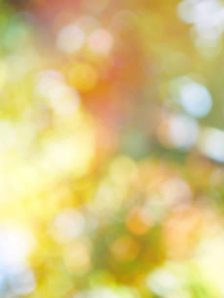 Leaf bokeh in the forest, missed focus Shoot outdoors 배경색 stock pictures, royalty-free photos & images